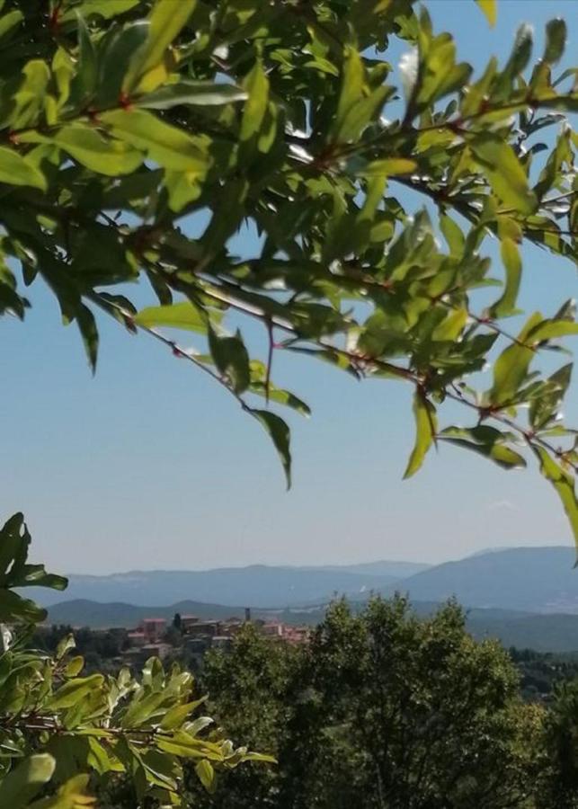 Beautiful Apartment With Exclusive Garden And Terrace Monteverdi Marittimo Exterior photo
